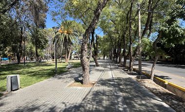 Duplex en Venta en San Martin Mendoza