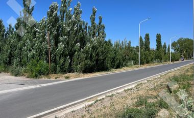 Se alquila, Lote comercial de 5.000 m2, Av Mosconi (Ex Ruta 22) y Felipe Sapag, Plottier.