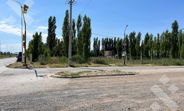 Se alquila, Lote comercial de 5.000 m2, Av Mosconi (Ex Ruta 22) y Felipe Sapag, Plottier.