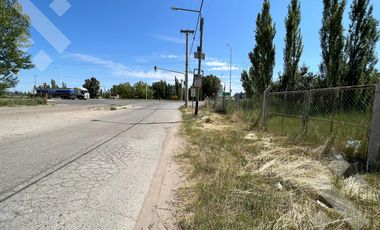 Se alquila, Lote comercial de 5.000 m2, Av Mosconi (Ex Ruta 22) y Felipe Sapag, Plottier.