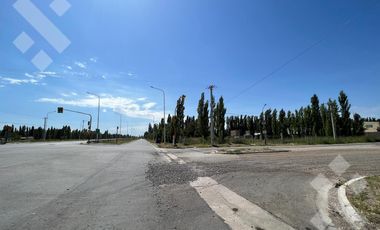 Se alquila, Lote comercial de 5.000 m2, Av Mosconi (Ex Ruta 22) y Felipe Sapag, Plottier.
