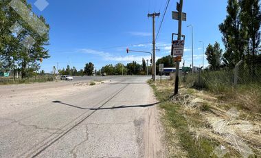 Se alquila, Lote comercial de 5.000 m2, Av Mosconi (Ex Ruta 22) y Felipe Sapag, Plottier.