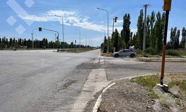 Se alquila, Lote comercial de 5.000 m2, Av Mosconi (Ex Ruta 22) y Felipe Sapag, Plottier.