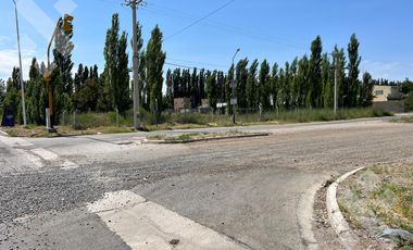 Se alquila, Lote comercial de 5.000 m2, Av Mosconi (Ex Ruta 22) y Felipe Sapag, Plottier.