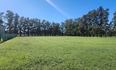 Gran terreno en Azahares del Parana