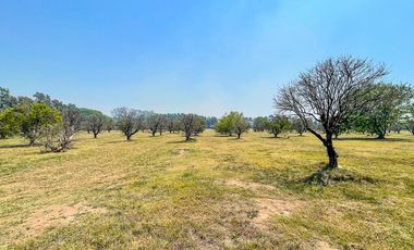 Gran terreno en Azahares del Parana