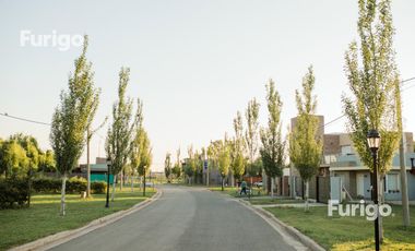 Terreno Soldini Los Viñedos barrio abierto