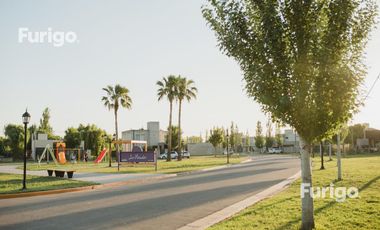 Terreno Soldini Los Viñedos barrio abierto