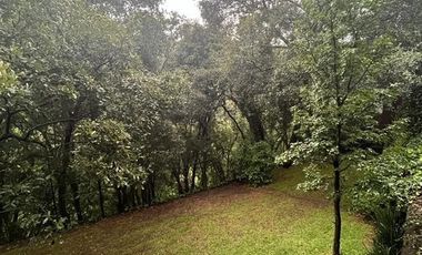 Bosques de Tarango, Casa en condominio 100 % remodelada