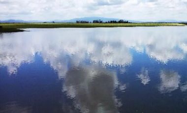 SAN JUAN DEL RÍO, TERRENO PARA INVERSIONISTAS, USO HABITACIONAL E INDUSTRIAL