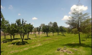 SAN JUAN DEL RÍO, TERRENO PARA INVERSIONISTAS, USO HABITACIONAL E INDUSTRIAL