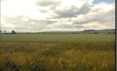 SAN JUAN DEL RÍO, TERRENO PARA INVERSIONISTAS, USO HABITACIONAL E INDUSTRIAL