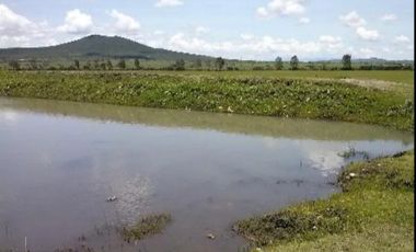 SAN JUAN DEL RÍO, TERRENO PARA INVERSIONISTAS, USO HABITACIONAL E INDUSTRIAL
