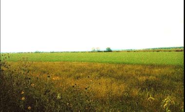 SAN JUAN DEL RÍO, TERRENO PARA INVERSIONISTAS, USO HABITACIONAL E INDUSTRIAL