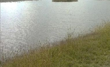 SAN JUAN DEL RÍO, TERRENO PARA INVERSIONISTAS, USO HABITACIONAL E INDUSTRIAL