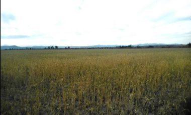 SAN JUAN DEL RÍO, TERRENO PARA INVERSIONISTAS, USO HABITACIONAL E INDUSTRIAL