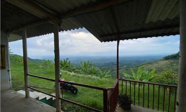 SE VENDE O SE PERMUTA FINCA EN BUENAVISTA QUINDIO