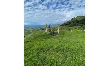 SE VENDE O SE PERMUTA FINCA EN BUENAVISTA QUINDIO