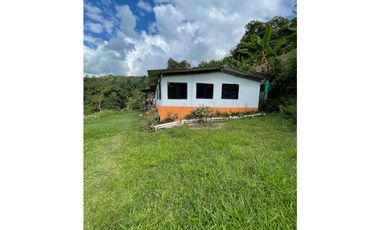 SE VENDE O SE PERMUTA FINCA EN BUENAVISTA QUINDIO