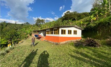 SE VENDE O SE PERMUTA FINCA EN BUENAVISTA QUINDIO