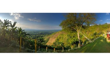 SE VENDE O SE PERMUTA FINCA EN BUENAVISTA QUINDIO
