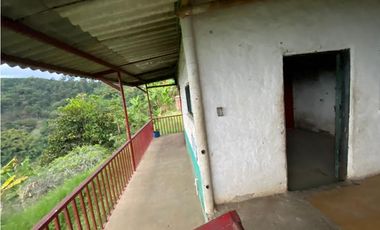 SE VENDE O SE PERMUTA FINCA EN BUENAVISTA QUINDIO