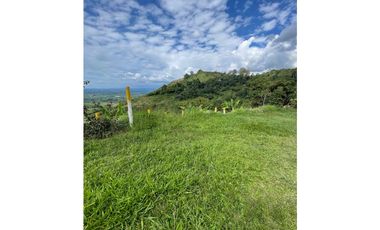 SE VENDE O SE PERMUTA FINCA EN BUENAVISTA QUINDIO