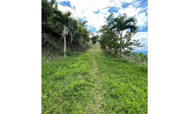 SE VENDE O SE PERMUTA FINCA EN BUENAVISTA QUINDIO