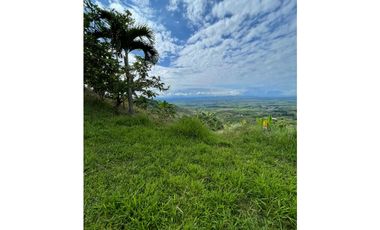 SE VENDE O SE PERMUTA FINCA EN BUENAVISTA QUINDIO