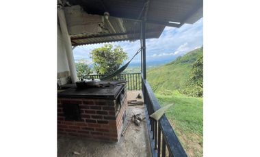 SE VENDE O SE PERMUTA FINCA EN BUENAVISTA QUINDIO