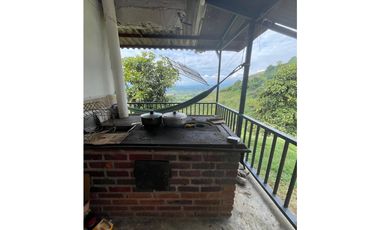 SE VENDE O SE PERMUTA FINCA EN BUENAVISTA QUINDIO