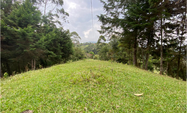 Lotes en parcelacion- La miel -Caldas