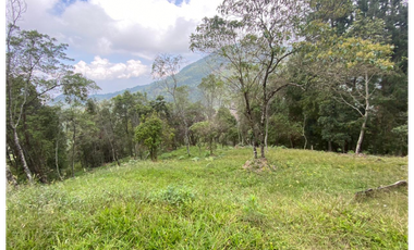 Lotes en parcelacion- La miel -Caldas