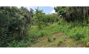 Lotes De 1300 M² En La Mesa Cundi
