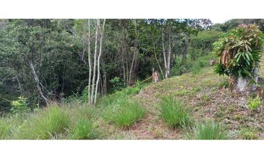 Lotes De 1300 M² En La Mesa Cundi