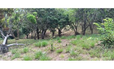 Lotes De 1300 M² En La Mesa Cundi