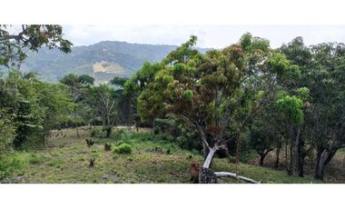 Lotes De 1300 M² En La Mesa Cundi