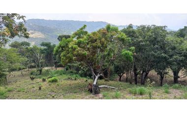 Lotes De 1300 M² En La Mesa Cundi