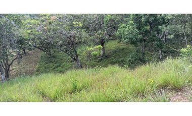 Lotes De 1300 M² En La Mesa Cundi