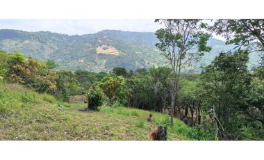 Lotes De 1300 M² En La Mesa Cundi