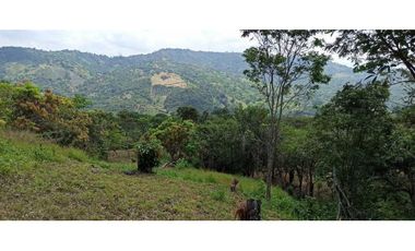 Lotes De 1300 M² En La Mesa Cundi