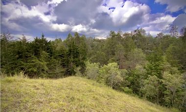 Venta Casa Parcelacion El Retiro