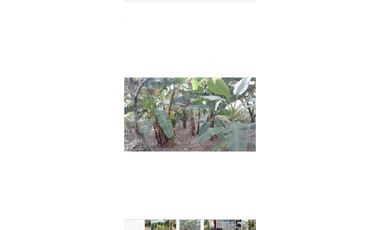 Finca  Anapoima  7 fanegadas