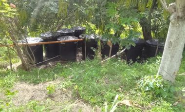 Finca  Anapoima  7 fanegadas