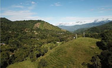 Casas Campestres en Tierra Caliente Cerca a Bogotá