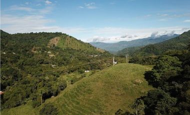Casas Campestres en Tierra Caliente Cerca a Bogotá