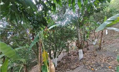 Casa Lote Nuevo a 15 min La Mesa Cundi