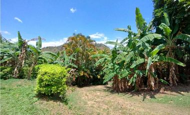 Venta de finca entre Quipile y La Mesa