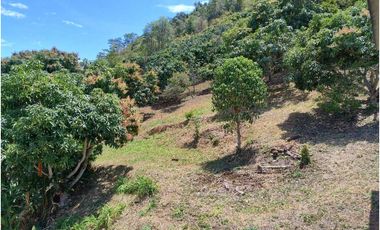 Venta de finca entre Quipile y La Mesa