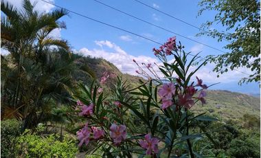 Venta de finca entre Quipile y La Mesa